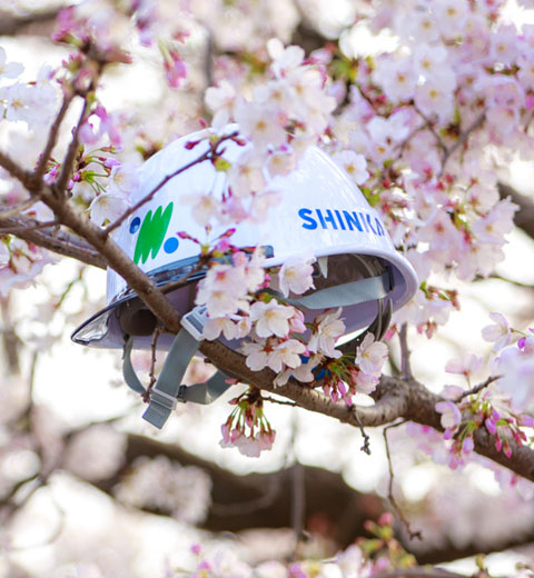 シンカ株式会社 四国支社の桜とヘルメット